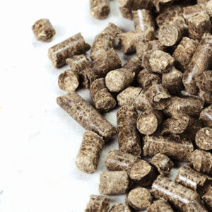 Паливна торф’яна гранула (пелета)